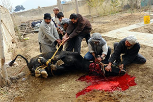 Der Islam ist die Finsternis der Menschheit