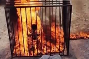 Der Islam ist die Finsternis der Menschheit